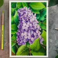 Сирень в листьях