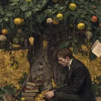 Путь к успеху и страх кастрации. Как психологу начать больше зарабатывать