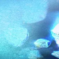 Астрология минералов. Часть 2. Ключи к каменным тайнам Зодиака