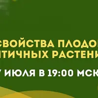 Свойства плодов зонтичных растений