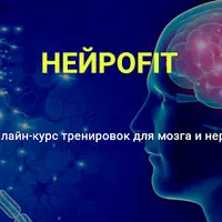 НейроFit