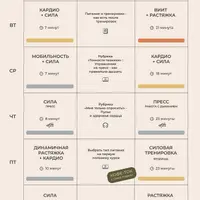 Basefit - курс для улучшения формы и здоровья