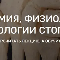 Анатомия, физиология и патологии стопы