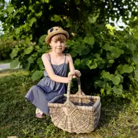 Бумажная лоза. Клуб Я не волшебник (июль 2025)