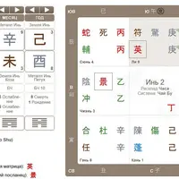 Выбор профессии по Ци Мень. Вебинар 1