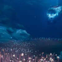 Неожиданная биология: ключевые открытия июля