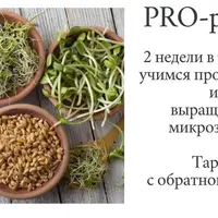 Pro-ростки