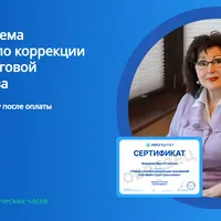 Авторская система по коррекции искажений слоговой структуры слова