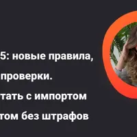 ВЭД-2025: новые правила, налоги и проверки