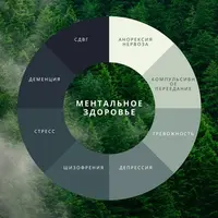 Ментальное здоровье