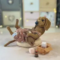 Такса в стиле тедди