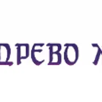 Работа с центром разума. Развитие духовного разума Человека и обучение созданию духовных созидательных мыслеформ