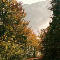 Новые методы глубинной психологии. Вебинар 17. Счастье и психотерапия