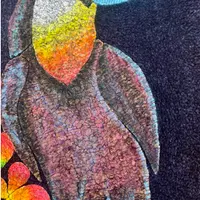 Видео МК по изготовлению войлочного дизайна «Тукан»