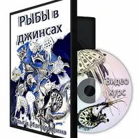 Рыбы в джинсах