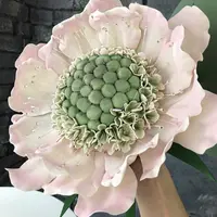 Реально красиво. Курс по фом флористике и декору