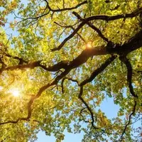 Полезные Боги в Ба Цзы