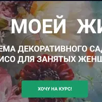 Сад моей жизни
