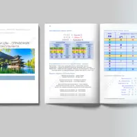 Справочник консультанта Ба Цзы