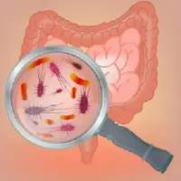 Как восстановить микрофлору кишечника через питание и пищевые привычки