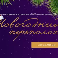 Новогодний переполох