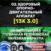 Опорно-двигательный аппарат