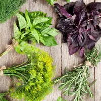 Пряно-ароматические травы