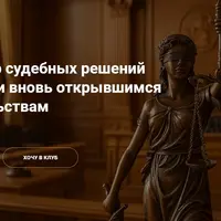 Пересмотр судебных решений по новым и вновь открывшимся обстоятельствам