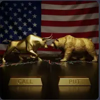 Опционы и фьючерсы на биржах США