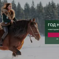 Год на коне