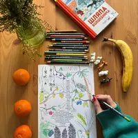 Шляпа волшебника