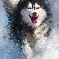 Сквозь снежную пыль