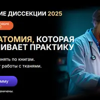 Анатомические диссекции 2025