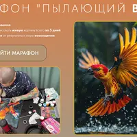 Пылающий взлёт