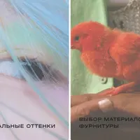 Худсовет Grasser: цвет и материалы. Весна-лето 2026