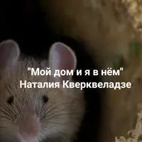 Мой дом и я в нём. Проблемы с вопросами недвижимости