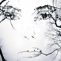 Петля предчувствия: можно ли переписать код судьбы?