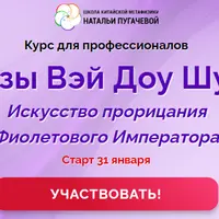 Цзы Вэй Доу Шу: искусство прорицания Фиолетового Императора