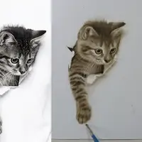 Курсы по снегу, на зеленом и восточный мотив