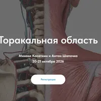 Торакальная область