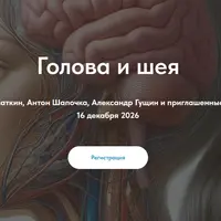 Голова и шея