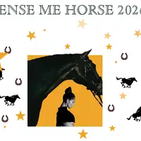 Sense me horse 2026