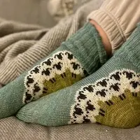 Носки с интересной конструкцией спицами Hyrde Sokker
