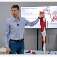 Функциональная анатомия