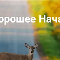 Хорошее начало