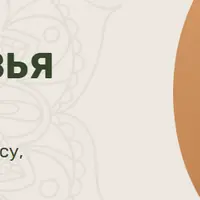 Понять своё тело. Женское здоровье от А до Я