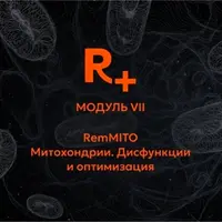РемМИТО: Митохондрии. Дисфункции и оптимизация