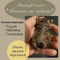 Котёнок на ладошке