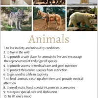 Английские фразы по темам