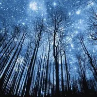 Астрология налегке. Февраль-март 2026